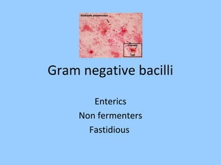 Gram negative bacilli
Enterics
Non fermenters
Fastidious
 