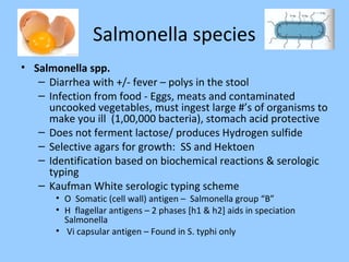 Salmonella species
• Salmonella spp.
– Diarrhea with +/- fever – polys in the stool
– Infection from food - Eggs, meats and contaminated
uncooked vegetables, must ingest large #’s of organisms to
make you ill (1,00,000 bacteria), stomach acid protective
– Does not ferment lactose/ produces Hydrogen sulfide
– Selective agars for growth: SS and Hektoen
– Identification based on biochemical reactions & serologic
typing
– Kaufman White serologic typing scheme
• O Somatic (cell wall) antigen – Salmonella group “B”
• H flagellar antigens – 2 phases [h1 & h2] aids in speciation
Salmonella
• Vi capsular antigen – Found in S. typhi only
 