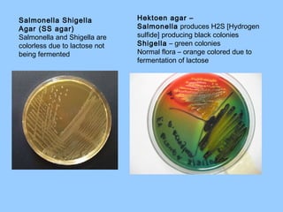 Salmonella Shigella
Agar (SS agar)
Salmonella and Shigella are
colorless due to lactose not
being fermented
Hektoen agar –
Salmonella produces H2S [Hydrogen
sulfide] producing black colonies
Shigella – green colonies
Normal flora – orange colored due to
fermentation of lactose
 
