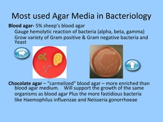 Most used Agar Media in Bacteriology
Blood agar- 5% sheep’s blood agar
Gauge hemolytic reaction of bacteria (alpha, beta, gamma)
Grow variety of Gram positive & Gram negative bacteria and
Yeast
Chocolate agar – “carmelized” blood agar – more enriched than
blood agar medium. Will support the growth of the same
organisms as blood agar Plus the more fastidious bacteria
like Haemophilus influenzae and Neisseria gonorrhoeae
 