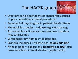 The HACEK group
• Oral flora can be pathogens of endocarditis caused
by poor detention or dental procedures
• Requires 2-4 days to grow in patient blood cultures
• Haemophilus species = oxidase neg, catalase neg
• Actinobacillus actinomycetom-comitans = oxidase
neg, catalase pos
• Cardiobacterium hominis = oxidase pos
• Eikinella corrodens = oxidase pos, colony pits BAP
• Kingella kingii = oxidase pos, hemolytic on BAP, also
cause infections in small children (septic joints)
 