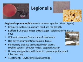 Legionella
Legionella pneumophila most common species [6 serotypes]
• Requires cysteine in culture medium for growth
• Buffered Charcoal Yeast Extract agar -colonies form in 3-5
days
• Will not show on Gram stain of specimens
• Use silver impregnation stains in tissue
• Pulmonary disease associated with water,
cooling towers, shower heads, stagnant water
• Urinary antigen test will detect L. pneumophila type I
infection only
• Treatment: Erythromycin (macrolide)
BCYE
 