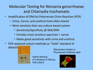 Molecular Testing for Neisseria gonorrhoeaeMolecular Testing for Neisseria gonorrhoeae
and Chlamydia trachomatisand Chlamydia trachomatis
• Amplification of DNA by Polymerase Chain Reaction (PCR)Amplification of DNA by Polymerase Chain Reaction (PCR)
– Urine, Cervix, and urethral most often testedUrine, Cervix, and urethral most often tested
– More sensitive than any culture based systemMore sensitive than any culture based system
• Sensitivity/Specificity @ 96%/99%Sensitivity/Specificity @ 96%/99%
• Females most sensitive specimen = cervixFemales most sensitive specimen = cervix
• Males good sensitivity with urine and urethralMales good sensitivity with urine and urethral
• PCR replaced culture methods as “Gold” standard ofPCR replaced culture methods as “Gold” standard of
detectiondetection
Iodine staining
of inclusions in McCoy
Cell culture
Elementary bodies in
Fluorescent antibody stain
 