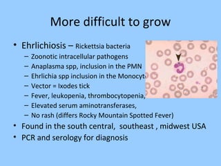 More difficult to grow
• Ehrlichiosis – Rickettsia bacteria
– Zoonotic intracellular pathogens
– Anaplasma spp, inclusion in the PMN
– Ehrlichia spp inclusion in the Monocytes
– Vector = Ixodes tick
– Fever, leukopenia, thrombocytopenia,
– Elevated serum aminotransferases,
– No rash (differs Rocky Mountain Spotted Fever)
• Found in the south central, southeast , midwest USA
• PCR and serology for diagnosis
 