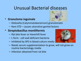 Unusual Bacterial diseases
• Granuloma inguinale
– Klebsiella (Calymmatobacterium) granulomatis
– Rare STD – causes ulcerative genital lesions
• Streptobacillus moniliformis
– Rat bite fever or Haverhill fever
– L form - cell wall deficient bacteria
– Inhibited by SPS in blood culture media
– Needs serum supplementation to grow, will not grow on
routine bacteriology media
– Infection obtained from rat bite
 