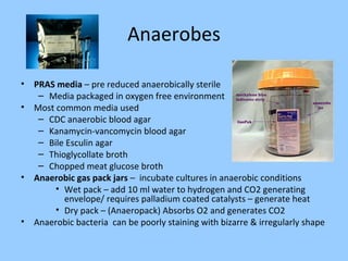 Anaerobes
• PRAS media – pre reduced anaerobically sterile
– Media packaged in oxygen free environment
• Most common media used
– CDC anaerobic blood agar
– Kanamycin-vancomycin blood agar
– Bile Esculin agar
– Thioglycollate broth
– Chopped meat glucose broth
• Anaerobic gas pack jars – incubate cultures in anaerobic conditions
• Wet pack – add 10 ml water to hydrogen and CO2 generating
envelope/ requires palladium coated catalysts – generate heat
• Dry pack – (Anaeropack) Absorbs O2 and generates CO2
• Anaerobic bacteria can be poorly staining with bizarre & irregularly shape
 