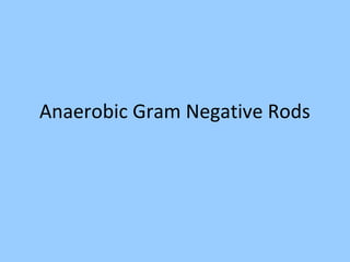 Anaerobic Gram Negative Rods
 