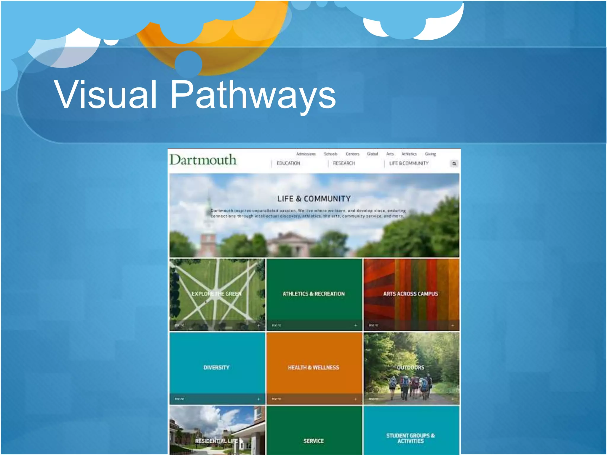 Visual Pathways
 