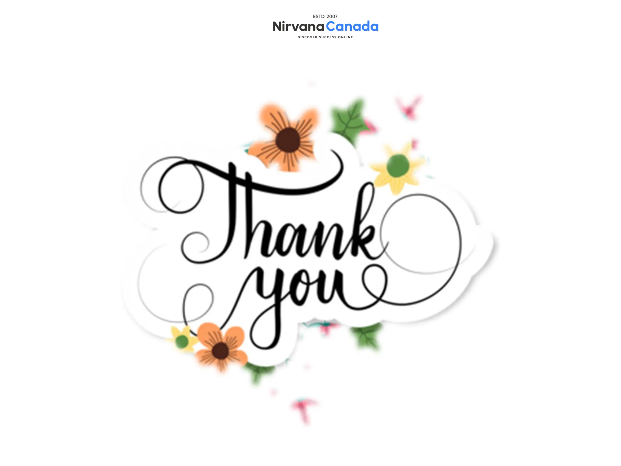 Website Builder, CMS, or Custom Development Which Is Best