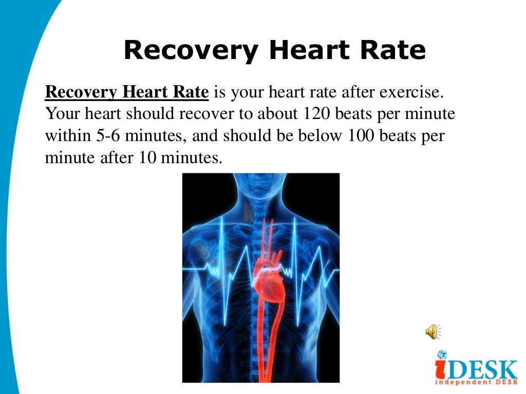 Benefits of Cardiovascular Exercise