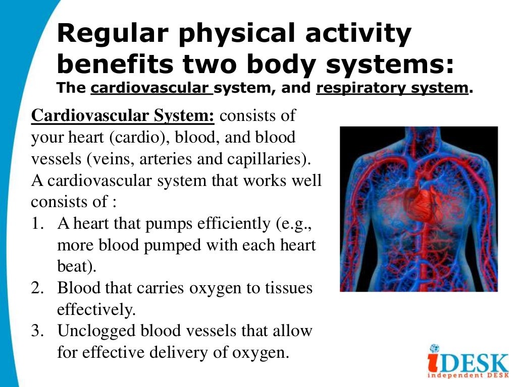 Benefits of Cardiovascular Exercise