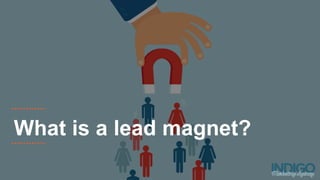 What is a lead magnet?
 