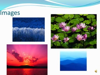 A shopping cart icon in the upper-right corner of all pages