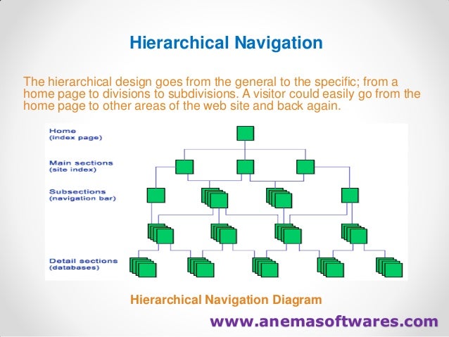 Website development, website designing, software development