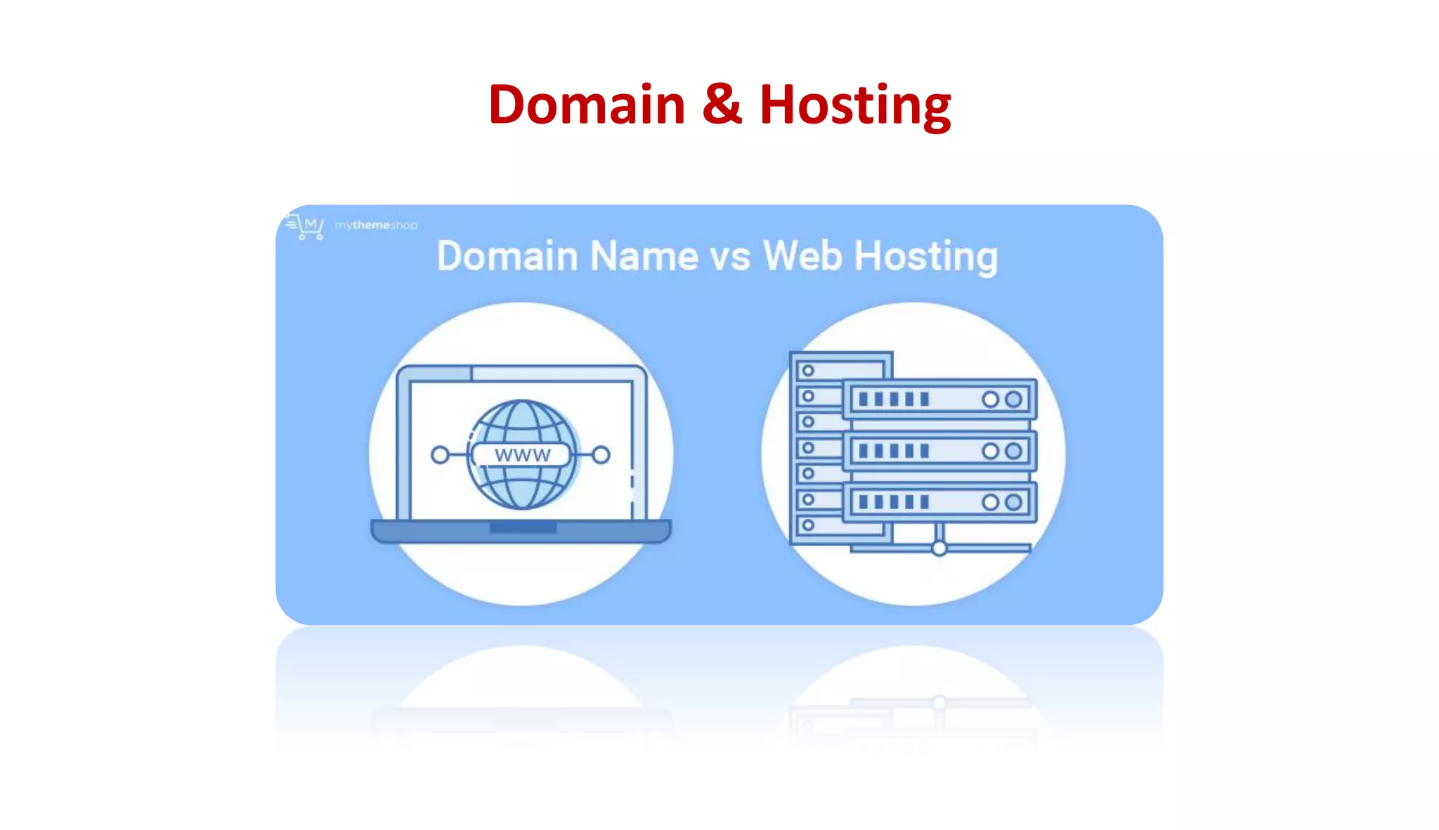 Domain & Hosting
 