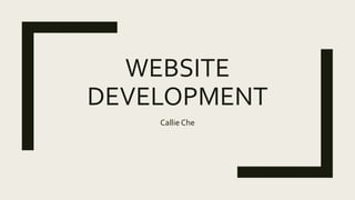 WEBSITE
DEVELOPMENT
Callie Che
 