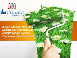 Website design Winnipeg
website development Manitoba
website design service
http://www.bluesharksolution.ca
 