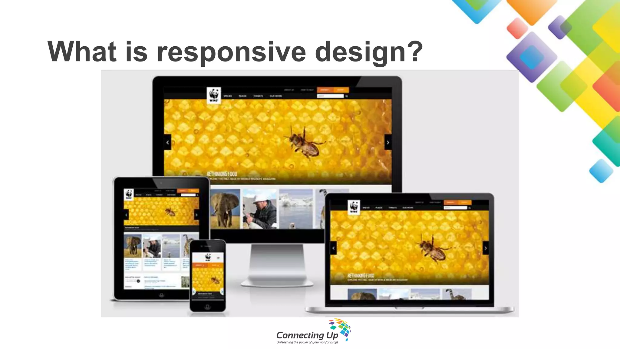 What is responsive design?
 