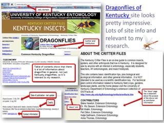 Dragonflies of
Kentucky site looks
pretty impressive.
Lots of site info and
relevant to my
research.
 
