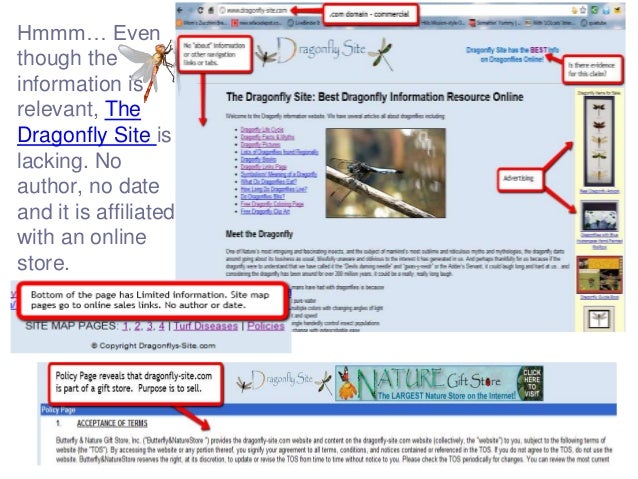 website evaluation