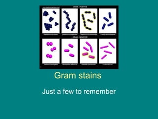Gram stains
Just a few to remember

 