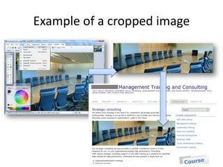 Example of a cropped image
 