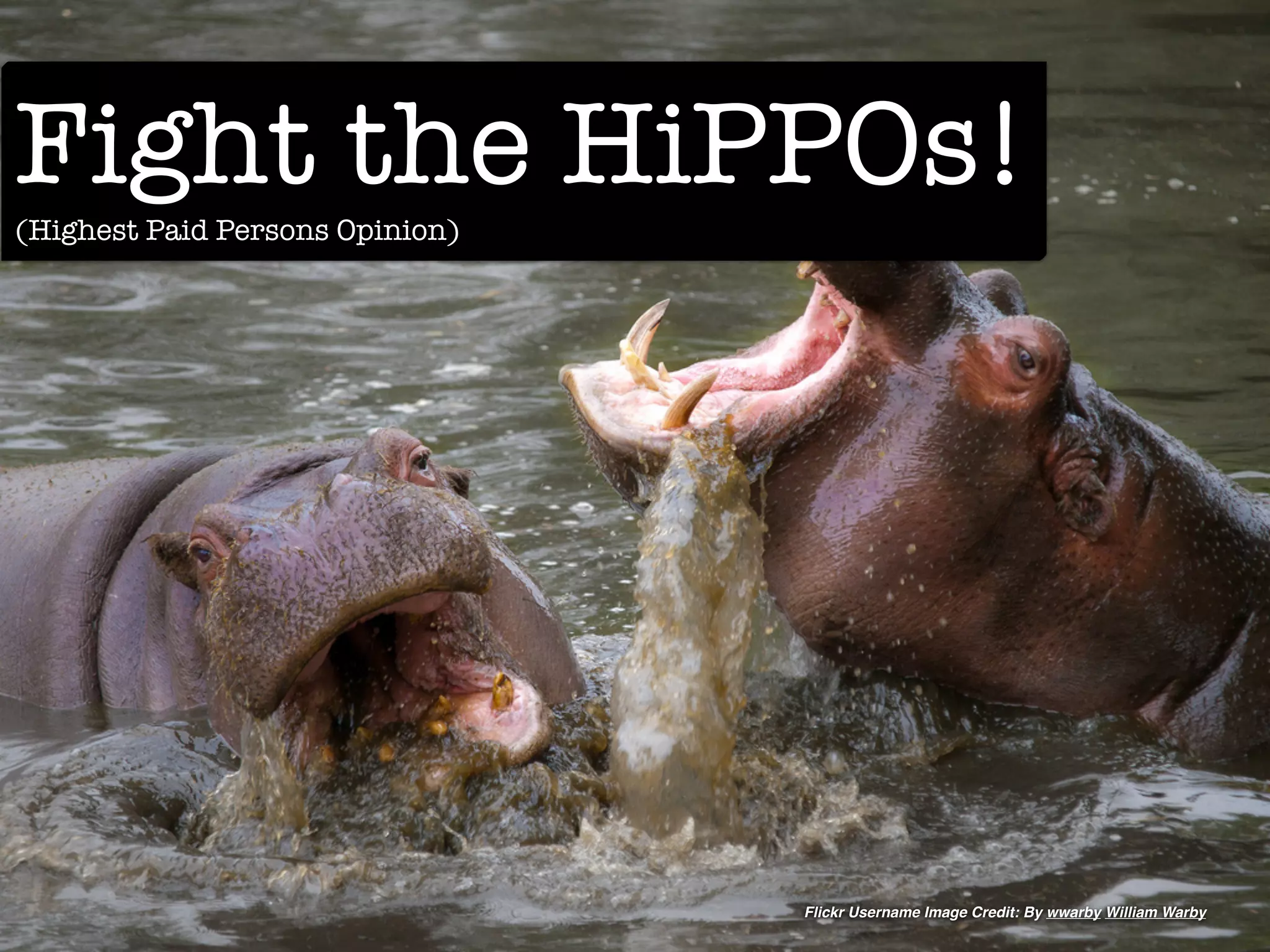 Fight the HiPPOs!
(Highest Paid Persons Opinion)




                                 Flickr Username Image Credit: By wwarby William Warby
 