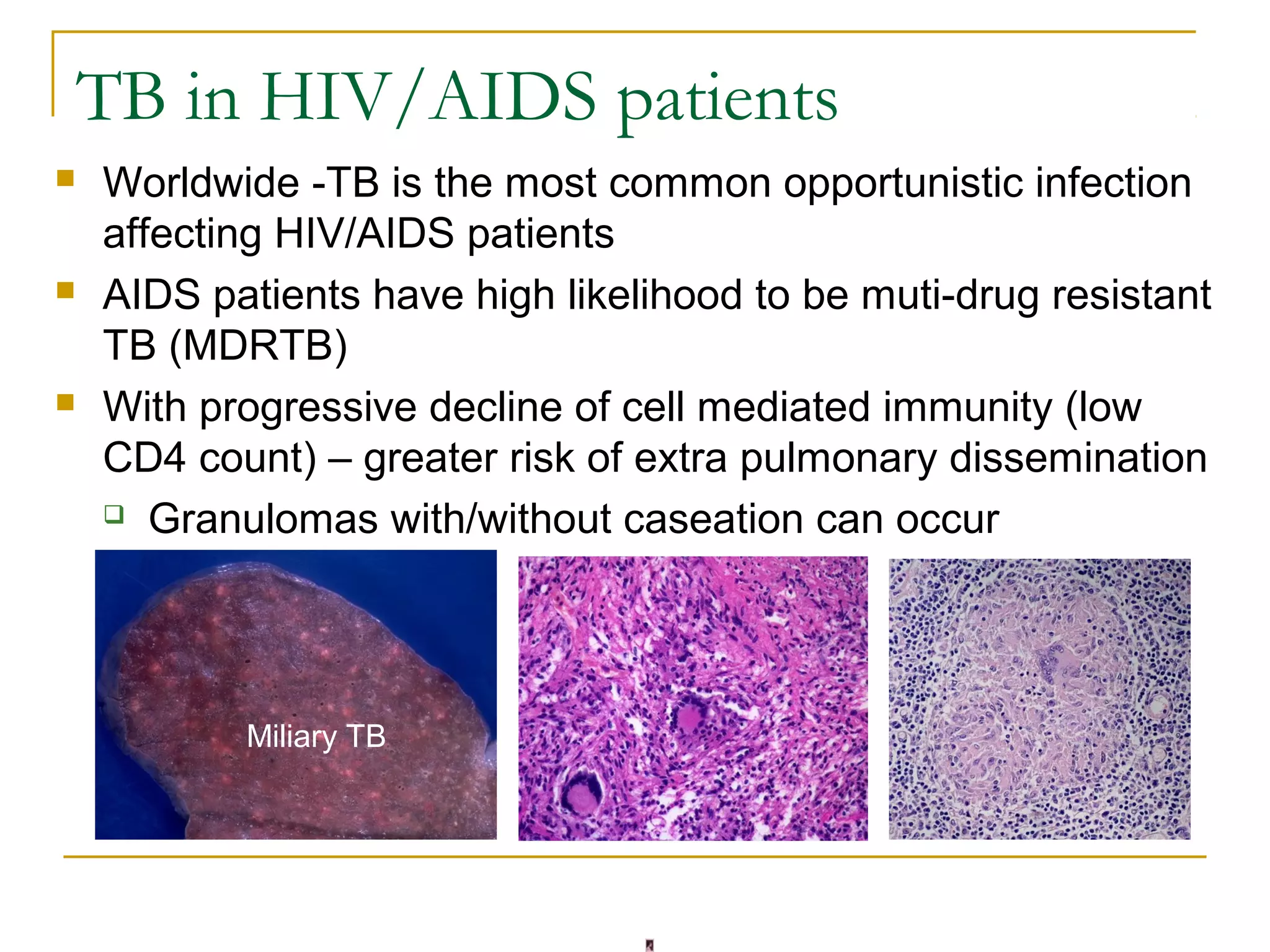 Mycobacteriology 2016 | PPT
