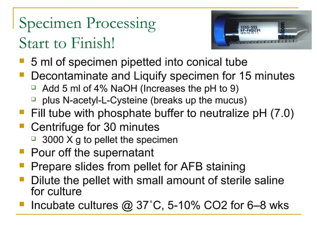 Mycobacteriology 2016 | PPT