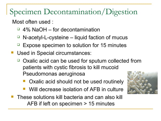 Mycobacteriology 2016 | PPT