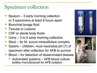 Specimen collection
 Sputum – 3 early morning collection
or 3 specimens at least 8 hours apart
 Bronchial lavage fluid
 Tissues or Lesions
 CSF or sterile body fluids
 Urine – 3 to 5 early morning collection
 Stool – for M. avium-intracellulare complex
 Gastric – children, must neutralize pH (7) of
specimen after collection for AFB to survive
 Blood – for detection of disseminated disease
 Automated systems – AFB blood culture
bottles manufactured for AFB isolation
 