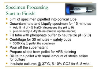 Specimen Processing
Start to Finish!
 5 ml of specimen pipetted into conical tube
 Decontaminate and Liquify specimen for 15 minutes
 Add 5 ml of 4% NaOH (Increases the pH to 9)
 plus N-acetyl-L-Cysteine (breaks up the mucus)
 Fill tube with phosphate buffer to neutralize pH (7.0)
 Centrifuge for 30 minutes – safety cups
 3000 X g to pellet the specimen
 Pour off the supernatant
 Prepare slides from pellet for AFB staining
 Dilute the pellet with small amount of sterile saline
for culture
 Incubate cultures @ 37˚C, 5-10% CO2 for 6–8 wks
 