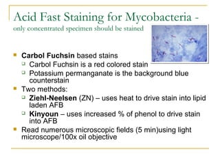 Acid Fast Staining for Mycobacteria -
only concentrated specimen should be stained
 Carbol Fuchsin based stains
 Carbol Fuchsin is a red colored stain
 Potassium permanganate is the background blue
counterstain
 Two methods:
 Ziehl-Neelsen (ZN) – uses heat to drive stain into lipid
laden AFB
 Kinyoun – uses increased % of phenol to drive stain
into AFB
 Read numerous microscopic fields (5 min)using light
microscope/100x oil objective
 