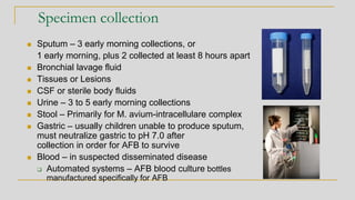 Specimen collection
◼ Sputum – 3 early morning collections, or
1 early morning, plus 2 collected at least 8 hours apart
◼ Bronchial lavage fluid
◼ Tissues or Lesions
◼ CSF or sterile body fluids
◼ Urine – 3 to 5 early morning collections
◼ Stool – Primarily for M. avium-intracellulare complex
◼ Gastric – usually children unable to produce sputum,
must neutralize gastric to pH 7.0 after
collection in order for AFB to survive
◼ Blood – in suspected disseminated disease
❑ Automated systems – AFB blood culture bottles
manufactured specifically for AFB
 