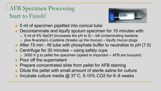 AFB Specimen Processing
Start to Finish!
◼ 5 ml of specimen pipetted into conical tube
◼ Decontaminate and liquify sputum specimen for 15 minutes with:
❑ 5 ml of 4% NaOH (increases the pH to 9) – kill contaminating bacteria
❑ plus N-acetyl-L-Cysteine (breaks up the mucus) – liquify mucus plugs
◼ After 15 min - fill tube with phosphate buffer to neutralize to pH (7.0)
◼ Centrifuge for 30 minutes – using safety cups
❑ 3000 X g to pellet the specimen (speed is important – AFB are buoyant)
◼ Pour off the supernatant
◼ Prepare concentrated slide from pellet for AFB staining
◼ Dilute the pellet with small amount of sterile saline for culture
◼ Incubate culture media @ 37˚C, 5-10% CO2 for 6–8 weeks
 