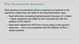 Why Decontaminate Specimens?
Slow growing mycobacteria will be overgrown by bacteria in the
specimen unless they are killed in the decontamination step:
❑ Must eliminate competing bacteria/yeast that grow 24 x faster
– these organisms are killed by the increased pH with the
addition of 4% NaOH
❑ Must also release the AFB from mucus plugs in the sputum
specimen - this is accomplished with the addition of the L-
acetyl-cysteine
 