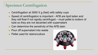 Specimen Centrifugation
◼ Centrifugation at 3000 X g (fast) with safety cups
◼ Speed of centrifugation is important - AFB are lipid laden and
they will float if not rapidly centrifuged – must pellet to bottom of
tube so they are not decanted with supernatant
◼ Can determine the sensitivity of the AFB stain
◼ Pour off supernatant into waste
◼ Pellet used for stains/culture
 
