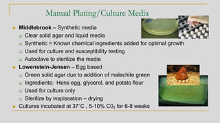 Manual Plating/Culture Media
◼ Middlebrook – Synthetic media
❑ Clear solid agar and liquid media
❑ Synthetic = Known chemical ingredients added for optimal growth
❑ Used for culture and susceptibility testing
❑ Autoclave to sterilize the media
◼ Lowenstein-Jensen – Egg based
❑ Green solid agar due to addition of malachite green
❑ Ingredients: Hens egg, glycerol, and potato flour
❑ Used for culture only
❑ Sterilize by inspissation – drying
◼ Cultures incubated at 37˚C , 5-10% C0₂ for 6-8 weeks
 