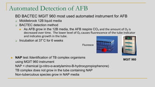 Automated Detection of AFB
BD BACTEC MGIT 960 most used automated instrument for AFB
❑ Middlebrook 12B liquid media
❑ BACTEC detection method
◼ As AFB grow in the 12B media, the AFB respire CO₂ and the amount of O₂ is
decreased over time. The lower level of O₂ causes fluorescence of the tube indicator
and indicates growth in the tube.
❑ Incubation at 37˚C for 6 weeks
Fluoresce
◼ NAP test /Identification of TB complex organisms
using MGIT 960 instrument
NAP = chemical (p-nitro-α-acetylamino-B-hydroxypropiophenone)
TB complex does not grow in the tube containing NAP
Non-tuberculous species grow in NAP media
MGIT 960
 