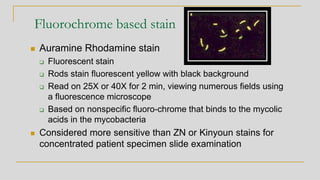 Fluorochrome based stain
◼ Auramine Rhodamine stain
❑ Fluorescent stain
❑ Rods stain fluorescent yellow with black background
❑ Read on 25X or 40X for 2 min, viewing numerous fields using
a fluorescence microscope
❑ Based on nonspecific fluoro-chrome that binds to the mycolic
acids in the mycobacteria
◼ Considered more sensitive than ZN or Kinyoun stains for
concentrated patient specimen slide examination
 