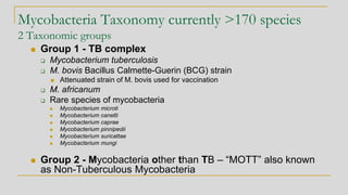 Mycobacteria Taxonomy currently >170 species
2 Taxonomic groups
◼ Group 1 - TB complex
❑ Mycobacterium tuberculosis
❑ M. bovis Bacillus Calmette-Guerin (BCG) strain
◼ Attenuated strain of M. bovis used for vaccination
❑ M. africanum
❑ Rare species of mycobacteria
◼ Mycobacterium microti
◼ Mycobacterium canetti
◼ Mycobacterium caprae
◼ Mycobacterium pinnipedii
◼ Mycobacterium suricattae
◼ Mycobacterium mungi
◼ Group 2 - Mycobacteria other than TB – “MOTT” also known
as Non-Tuberculous Mycobacteria
 