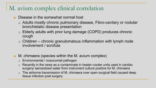 M. avium complex clinical correlation
◼ Disease in the somewhat normal host
❑ Adults mostly chronic pulmonary disease, Fibro-cavitary or nodular
bronchietatic disease presentation
❑ Elderly adults with prior lung damage (COPD) produces chronic
cough
❑ Children – chronic granulomatous inflammation with lymph node
involvement / scrofula
◼ M. chimaera (species within the M. avium complex)
❑ Environmental / nosocomial pathogen
❑ Recently in the news as a contaminate in heater–cooler units used in cardiac
surgery/ aerosolized water from instrument culture positive for M. chimaera
❑ The airborne transmission of M. chimaera over open surgical field caused deep
tissue infection post surgery
 