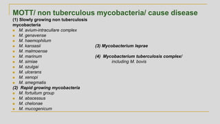 MOTT/ non tuberculous mycobacteria/ cause disease
(1) Slowly growing non tuberculosis
mycobacteria
◼ M. avium-intracullare complex
◼ M. genavense
◼ M. haemophilum
◼ M. kansasii (3) Mycobacterium leprae
◼ M. malmoense
◼ M. marinum (4) Mycobacterium tuberculosis complex/
◼ M. simiae including M. bovis
◼ M. szulgai
◼ M. ulcerans
◼ M. xenopi
◼ M. smegmatis
(2) Rapid growing mycobacteria
◼ M. fortuitum group
◼ M. abscessus
◼ M. chelonae
◼ M. mucogenicum
 