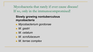 Mycobacteria that rarely if ever cause disease!
If so, only in the immunocompromised!
Slowly growing nontuberculous
mycobacteria
◼ Mycobacterium gordonae
◼ M. gastri
◼ M. celatum
◼ M. scrofulaceum
◼ M. terrae complex
 