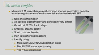 M. avium complex
◼ M avium & M intracellulare most common species in complex, complex
includes eight species of environmen...