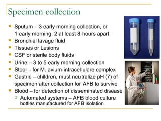 Specimen collection
 Sputum – 3 early morning collection, or
1 early morning, 2 at least 8 hours apart
 Bronchial lavage fluid
 Tissues or Lesions
 CSF or sterile body fluids
 Urine – 3 to 5 early morning collection
 Stool – for M. avium-intracellulare complex
 Gastric – children, must neutralize pH (7) of
specimen after collection for AFB to survive
 Blood – for detection of disseminated disease
 Automated systems – AFB blood culture
bottles manufactured for AFB isolation
 