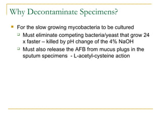 Why Decontaminate Specimens?
 For the slow growing mycobacteria to be cultured
 Must eliminate competing bacteria/yeast that grow 24
x faster – killed by pH change of the 4% NaOH
 Must also release the AFB from mucus plugs in the
sputum specimens - L-acetyl-cysteine action
 