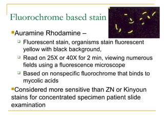 Fluorochrome based stain
Auramine Rhodamine –
 Fluorescent stain, organisms stain fluorescent
yellow with black background,
 Read on 25X or 40X for 2 min, viewing numerous
fields using a fluorescence microscope
 Based on nonspecific fluorochrome that binds to
mycolic acids
Considered more sensitive than ZN or Kinyoun
stains for concentrated specimen patient slide
examination
 