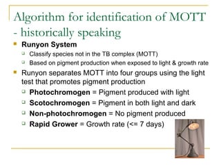Algorithm for identification of MOTT
- historically speaking
 Runyon System
 Classify species not in the TB complex (MOTT)
 Based on pigment production when exposed to light & growth rate
 Runyon separates MOTT into four groups using the light
test that promotes pigment production
 Photochromogen = Pigment produced with light
 Scotochromogen = Pigment in both light and dark
 Non-photochromogen = No pigment produced
 Rapid Grower = Growth rate (<= 7 days)
 