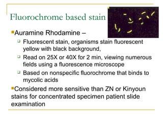 Fluorochrome based stain
Auramine Rhodamine –
 Fluorescent stain, organisms stain fluorescent
yellow with black backgrou...